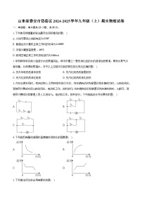 山东省泰安市岱岳区2024-2025学年九年级（上）期末物理试卷（含解析）