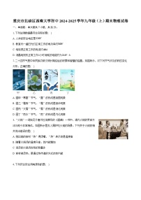 重庆市北碚区西南大学附中2024-2025学年九年级（上）期末物理试卷（含解析）