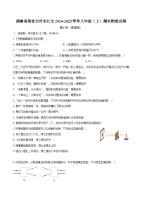 湖南省娄底市冷水江市2024-2025学年八年级（上）期末物理试卷（含解析）
