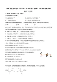 湖南省娄底市冷水江市2024-2025学年八年级（上）期末物理试卷（含解析）