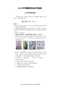 2024～2025学年四川省遂宁市射洪县八年级上期末统测物理试卷(含答案)