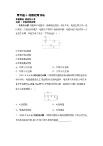 【中考考点基础练】微专题6 电路故障分析   2025年中考物理一轮专题练（河北）