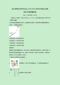 2024-2025学年河北省秦皇岛市卢龙县九年级上学期期末考试物理试卷（解析版）