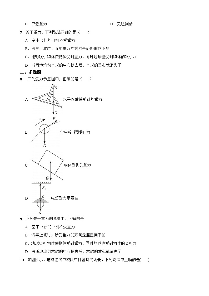 6.3《來自地球的力》同步分層基礎(chǔ)練習(xí)設(shè)計(jì) 2024-2025學(xué)年初中物理八年級(jí)下(滬科版2024)第2頁