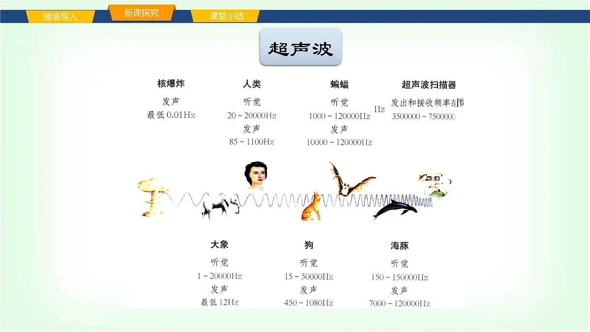 沪科版八年级物理第二章声的世界第三节超声波与次声波课件第7页