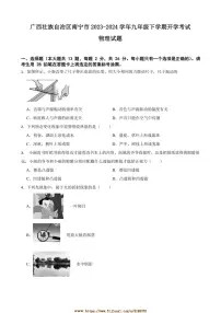 2023～2024学年广西壮族自治区南宁市九年级下开学考试物理试卷(含解析)