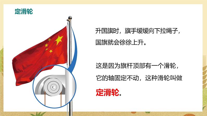 第1课时 定滑轮和动滑轮第6页