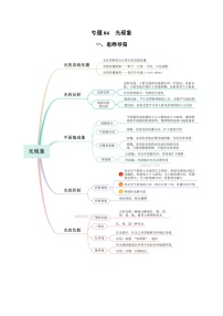 中考物理一轮复习考点训练专题04 光现象（知识梳理 典例 练习）（2份，原卷版+解析版）