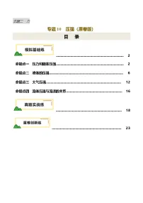 专题10 压强(练习)-2025年中考物理一轮复习讲义及练习