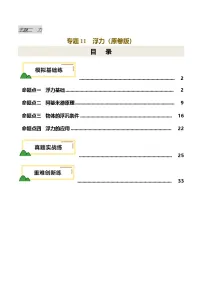 专题11 浮力（练习）-2025年中考物理一轮复习讲义及练习