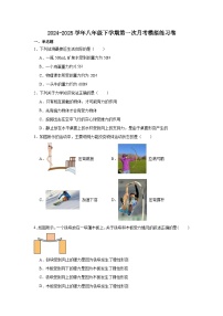 河北省石家庄市2024-2025学年人教版物理八年级下册第一次月考模拟练习卷