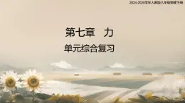 第七章 力 单元综合复习(课件)2024-2025学年人教版八年级物理下册