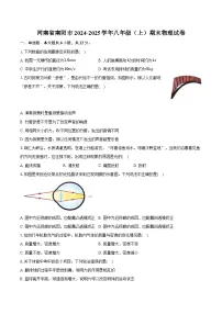 河南省南阳市2024-2025学年八年级（上）期末物理试卷