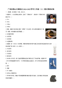 广东省佛山市南海区2024-2025学年八年级（上）期末物理试卷