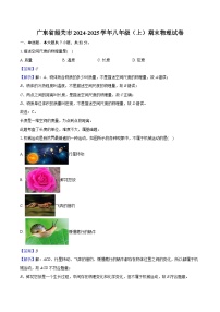 广东省韶关市2024-2025学年八年级(上)期末物理试卷