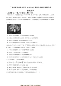2024～2025学年广东省惠州市惠台学校九年级下开学物理测试试卷(含答案)