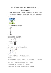 湖北省武汉市东新区2024-2025学年九年级上学期期末考试物理试卷（解析版）