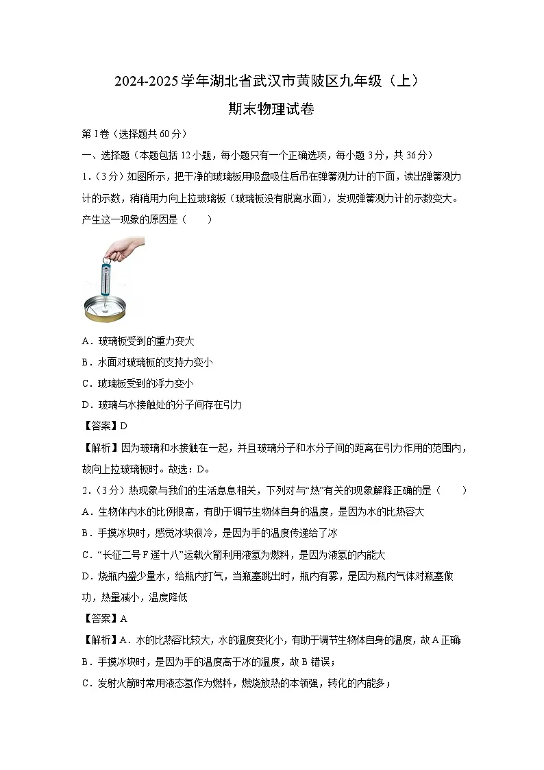 湖北省武汉市黄陂区2024-2025学年九年级上学期期末物理试卷(解析版)第1页