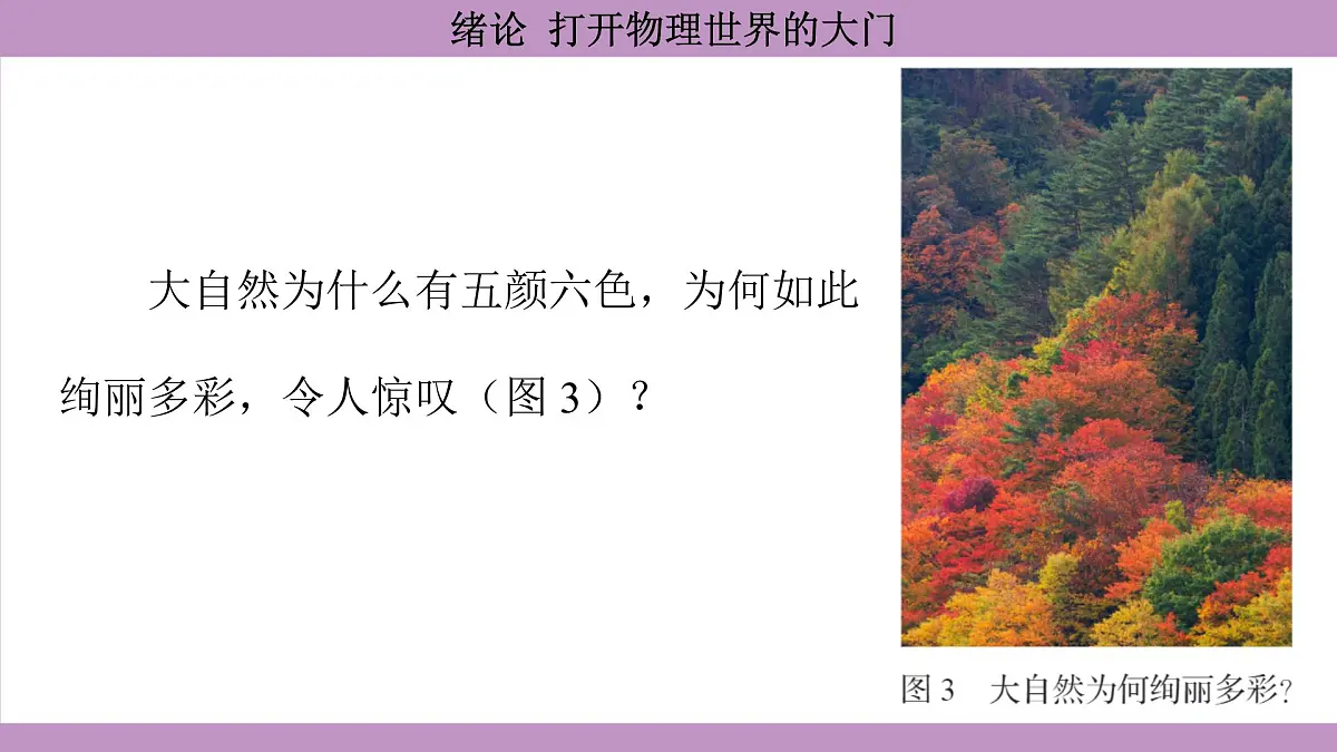 沪科版(2024)物理八年级全一册 绪论 打开物理世界的大门(课件)第5页