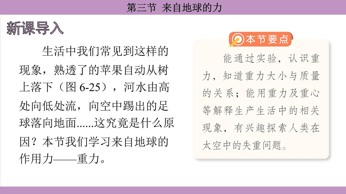 沪科版(2024)物理八年级全一册 6.3来自地球的力(课件)第3页