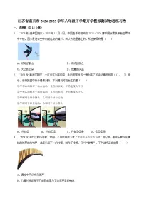 江苏省南京市2024-2025学年八年级下学期开学模拟测试 物理练习卷（含解析）
