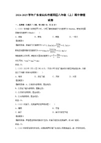 广东省汕头市潮阳区2024-2025学年八年级上学期期中物理试卷
