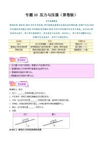 中考物理总复习专题10  压力与压强（原卷版）