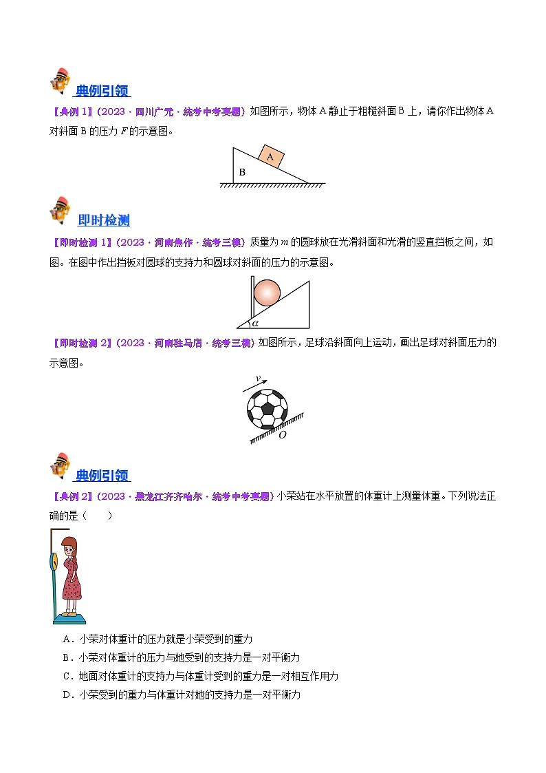中考物理总复习专题10 压力与压强(原卷版)第3页