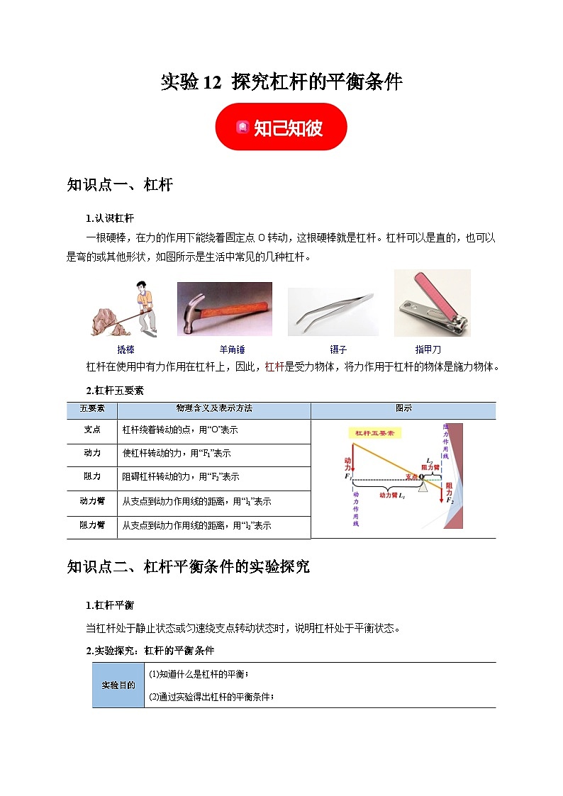 中考物理总复习实验12 探究杠杆的平衡条件(原卷版)第1页