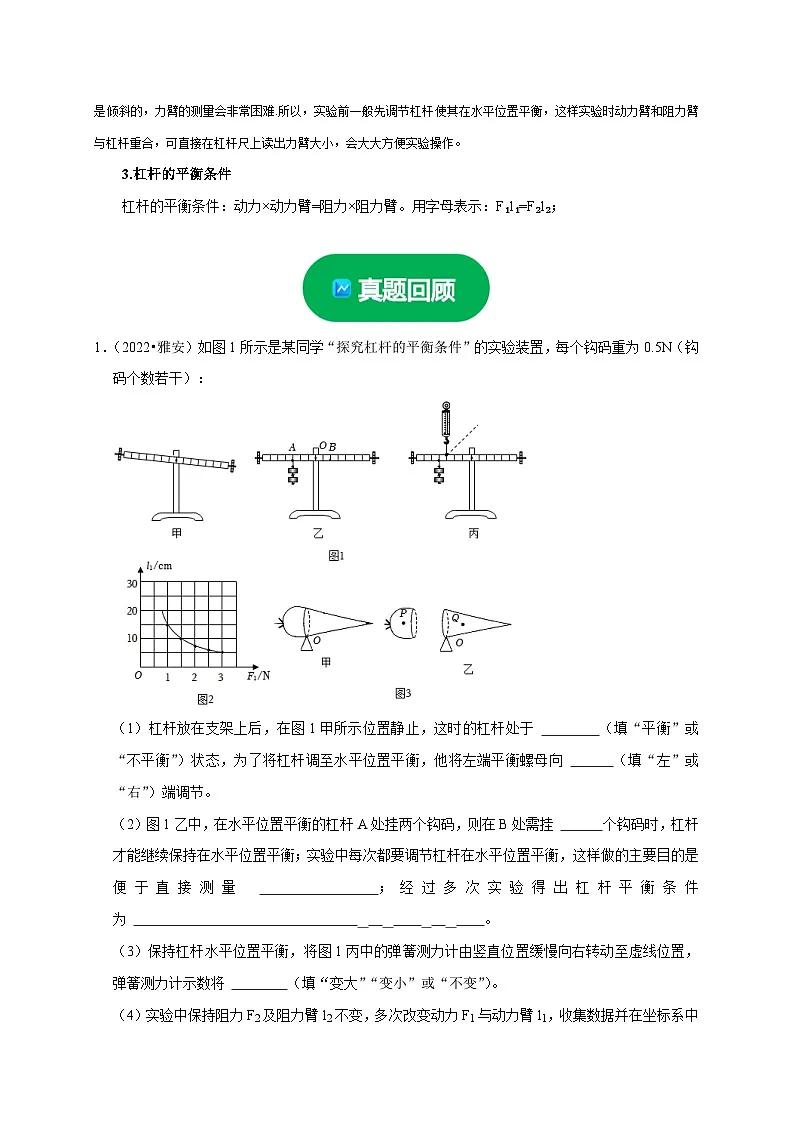 中考物理总复习实验12 探究杠杆的平衡条件(原卷版)第3页