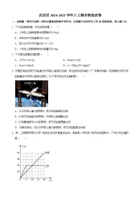 武昌区2024-2025学年上学期期末八年级物理试题（word版含答案）