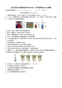 武汉市部分学校2024-2025学年上学期12月九年级物理试卷（word版）