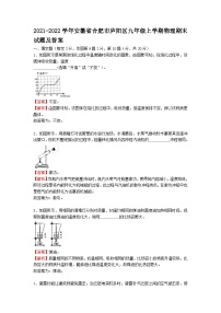 2021-2022学年安徽省合肥市庐阳区九年级上学期物理期末试题及答案