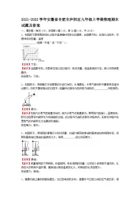 2021-2022学年安徽省合肥市庐阳区九年级上学期物理期末试题及答案