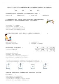 2024～2025学年10月广东佛山南海区佛山市南海外国语学校初三(上)月考物理试卷(含解析)