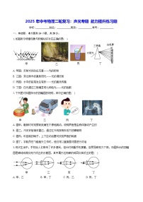 2025年中考物理二輪復習：聲光專題 能力提升練習題（含答案解析）