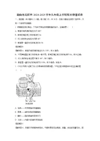 2024~2025学年湖南省岳阳市九年级上学期期末物理试卷（解析版）