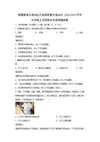 2024~2025学年新疆维吾尔自治区巴音郭楞蒙古自治州九年级上学期期末考试物理试卷（解析版）