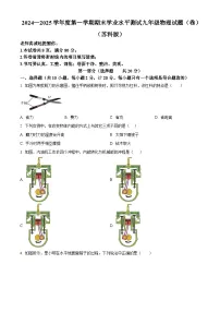 陕西省延安市延长县2024-2025学年九年级上学期期末物理试题（原卷版+解析版）