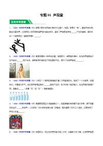 專題02 聲現象-5年（2020-2024）中考物理1年模擬真題分類匯編（河南專用）