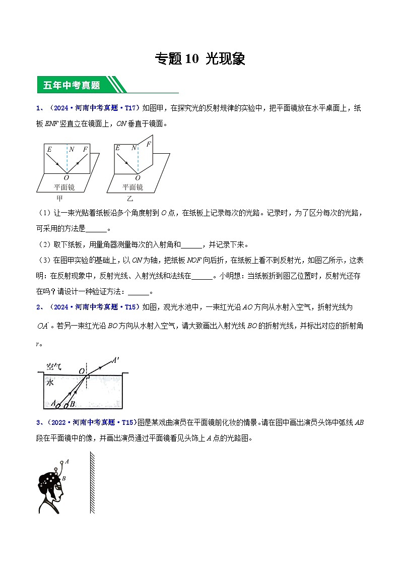 專題10 光現(xiàn)象(原卷版)第1頁