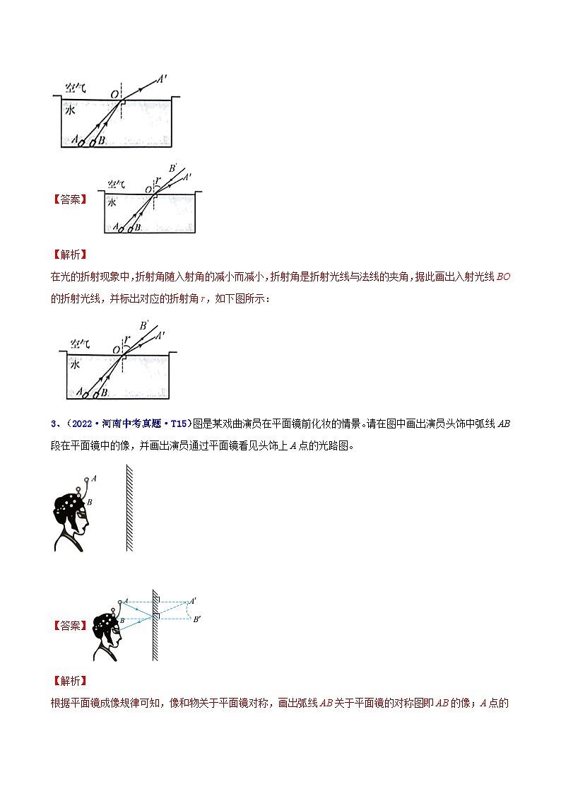 專題10 光現(xiàn)象(解析版)第2頁