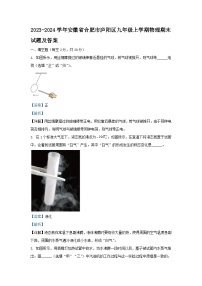 2023-2024学年安徽省合肥市庐阳区九年级上学期物理期末试题及答案