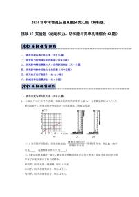 挑战15 实验题(运动和力、功和能与简单机械综合42题)(含答案) 备战2025年中考物理真题《压轴挑战》分类汇编(全国通用)