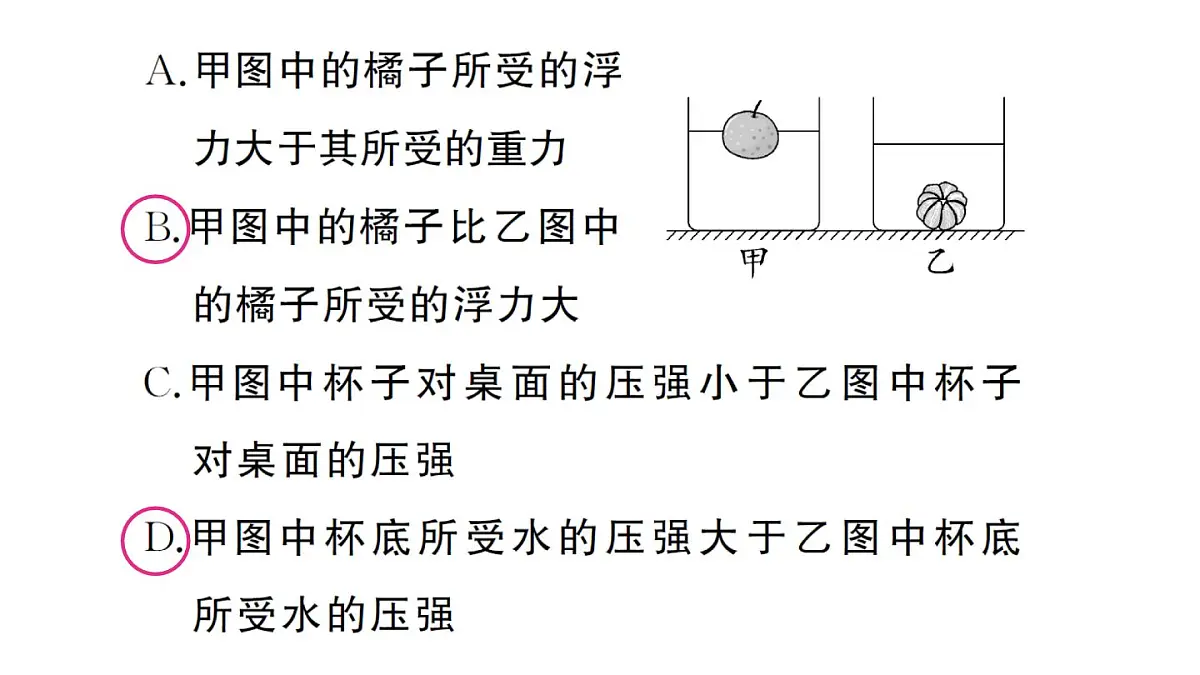 初中物理新沪科版八年级全册第九章专题四 密度、压强、浮力的综合分析与计算作业课件2025春第5页