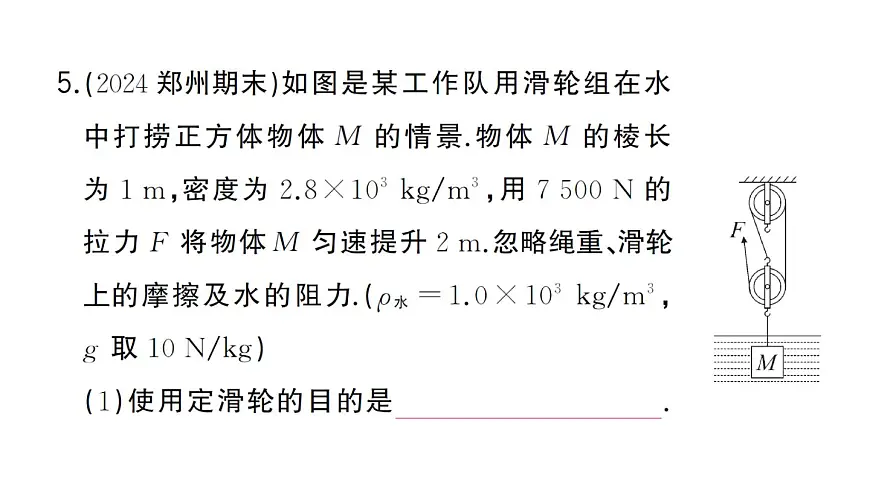 初中物理新沪科版八年级全册第十一章专题七 简单机械的综合计算作业课件2025春第8页