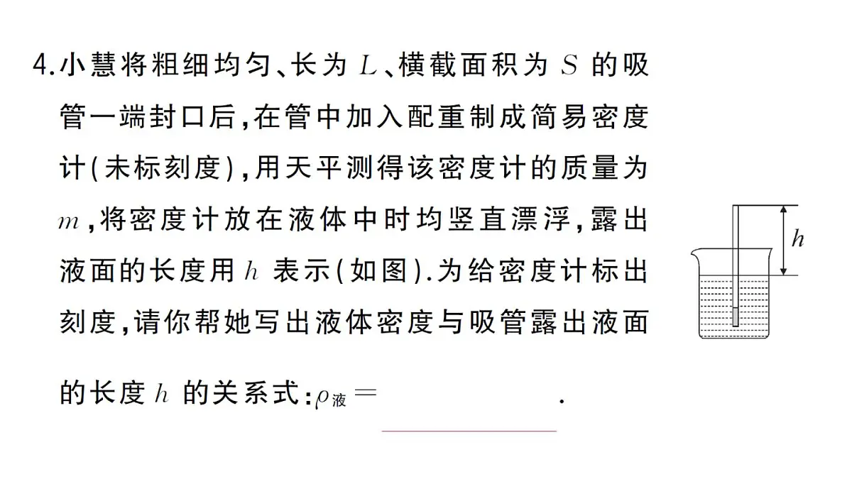 初中物理新沪科版八年级全册中考新视野二 推导字母表达式作业课件2025春第5页