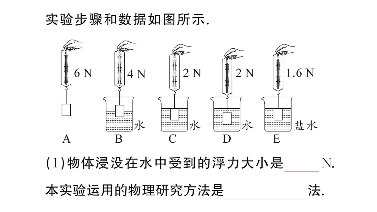 初中物理新沪科版八年级全册第九章第二节 探究:浮力大小与哪些因素有关作业课件2025春第3页