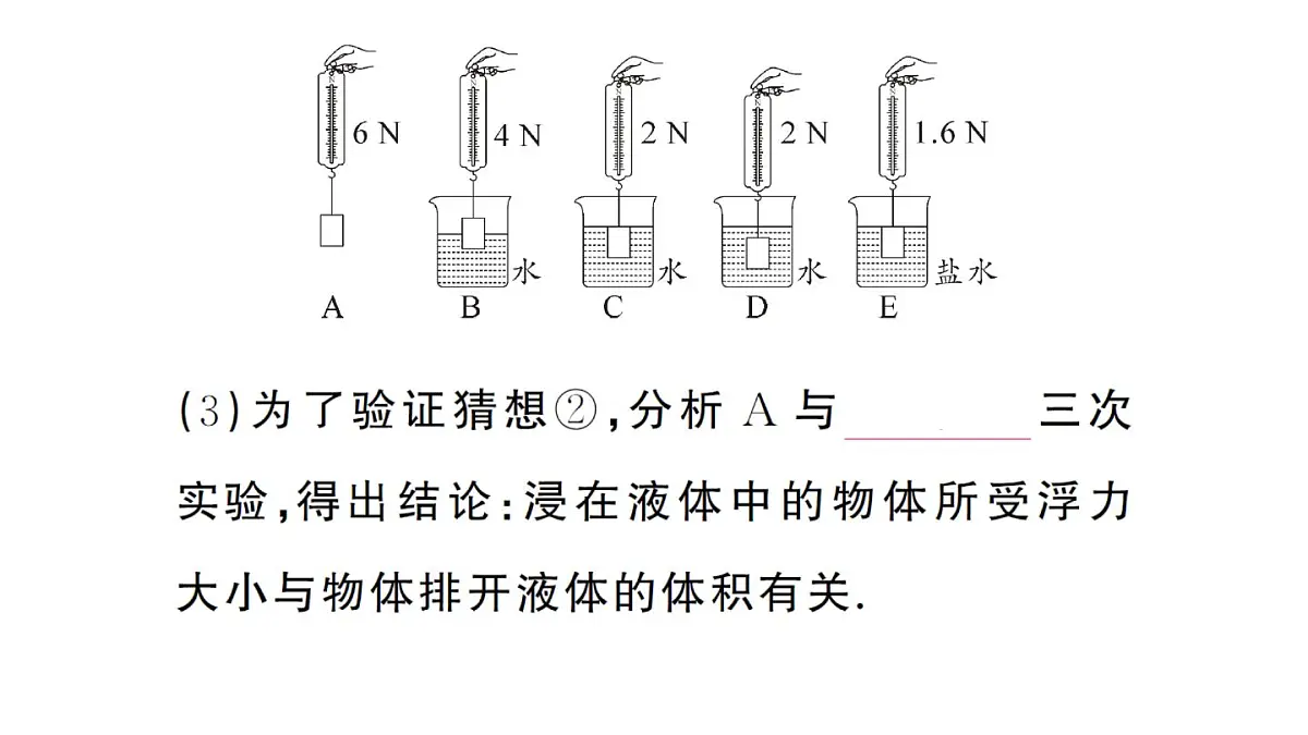 初中物理新沪科版八年级全册第九章第二节 探究:浮力大小与哪些因素有关作业课件2025春第5页