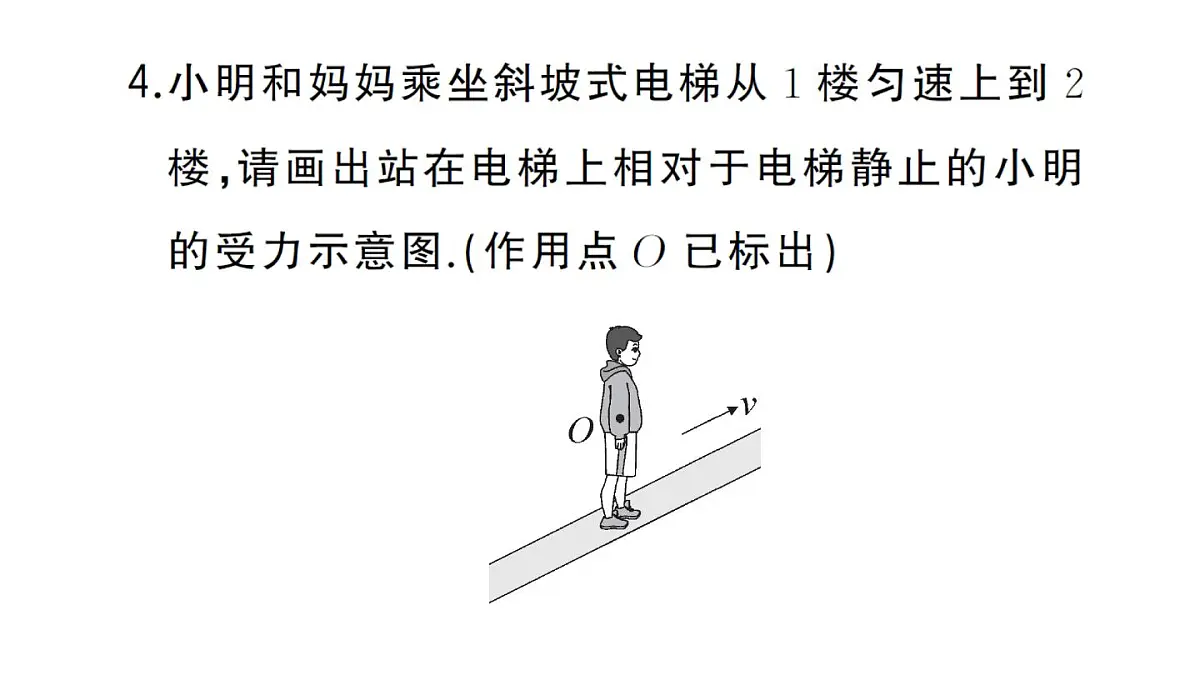 初中物理新沪科版八年级全册第七章专题一 力的示意图作业课件2025春第5页